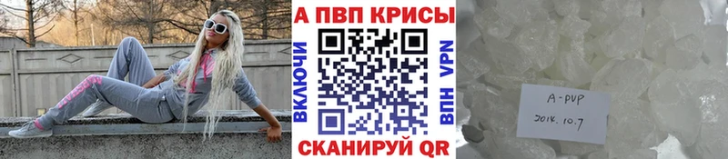 A PVP СК КРИС  Благодарный 