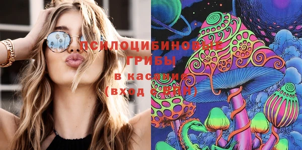 стафф Новый Уренгой